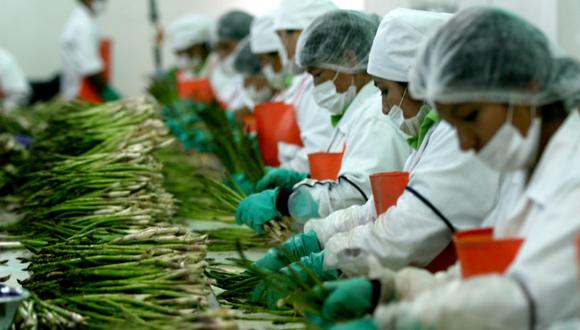 COVID-19: Minsa afirma que se alista normativa para aforos al 100% en centros laborales